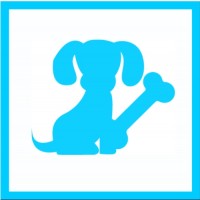 Junghunde (JuHu 3) - Abgesagt gemäss Weisung Bundesrat 