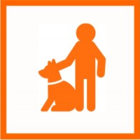Jagdhund zum Jagdbegleithund