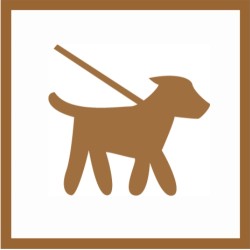 Gruppenspazierganag
