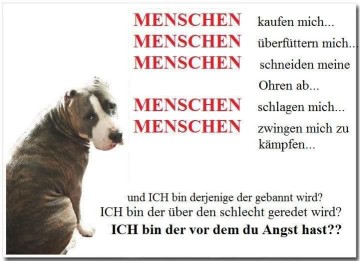 Kampfhunde Schweiz Listenhund Sozialisierung Tierschutz